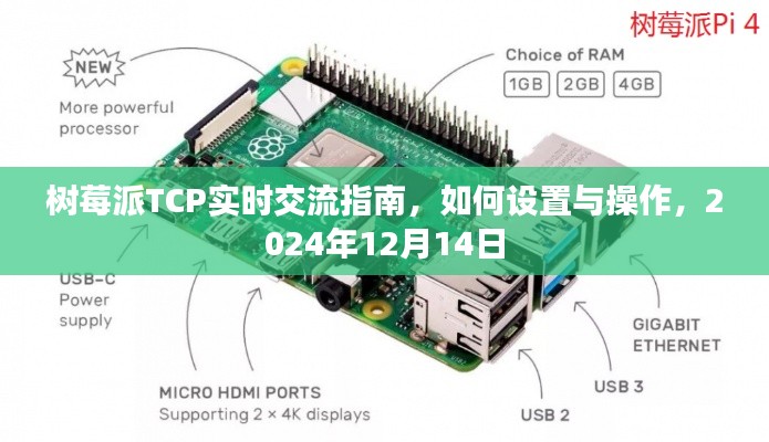 樹莓派TCP實(shí)時(shí)交流設(shè)置與操作指南（2024年12月版）