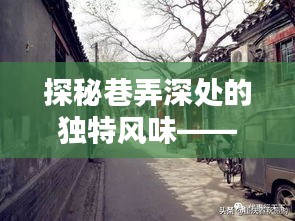 探秘巷弄深處的獨特風味，MF8471實時動態揭秘，帶你走進風味秘境（2024年12月14日）