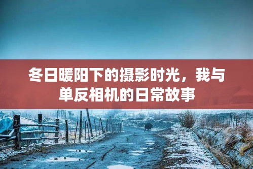 冬日暖陽下的攝影之旅，我與單反相機的日常故事