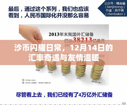 沙幣閃耀日常，匯率奇遇與友情的暖心故事（12月14日）