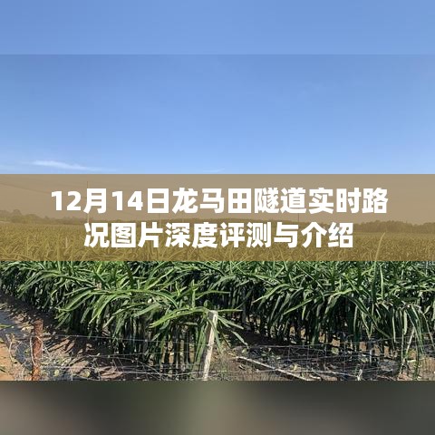 龍馬田隧道實時路況圖片深度評測與介紹，深度解析隧道路況實拍，12月14日最新資訊