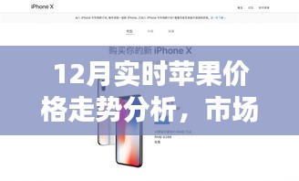 12月蘋果價格走勢解析，市場觀點碰撞與個人立場探討
