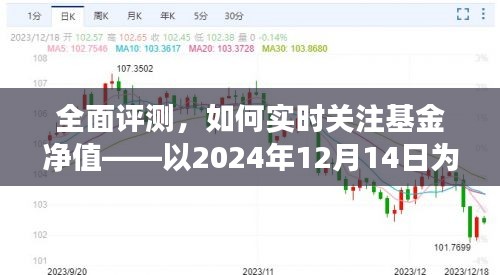 以2024年視角全面評(píng)測(cè)，如何實(shí)時(shí)關(guān)注基金凈值變化之道