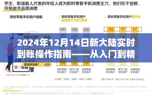 新大陸實時到賬操作指南，從入門到精通（2024年12月版）