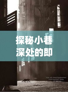 探秘小巷深處的即時光影，一場不存儲的十二月即時拍照之旅體驗
