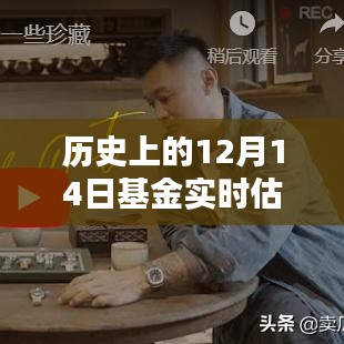 歷史上的基金實時估價表，初學者與進階用戶的全方位指南