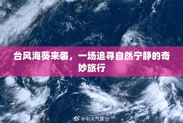臺風?？麃硪u，追尋自然寧靜的冒險之旅