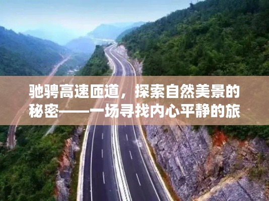 馳騁高速匝道，探尋自然美景與內(nèi)心平靜的旅程