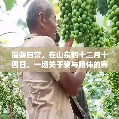 山東十二月十四日，愛與陪伴的輿論風(fēng)暴日