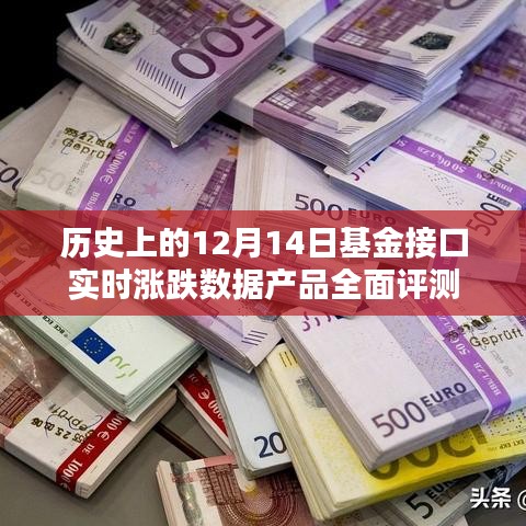 12月14日基金接口實(shí)時(shí)漲跌數(shù)據(jù)產(chǎn)品深度剖析與評(píng)測(cè)報(bào)告