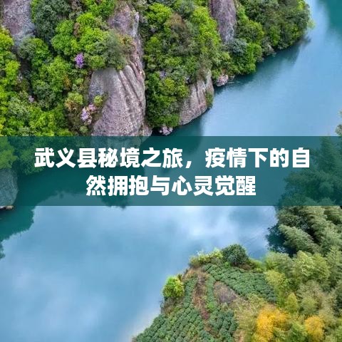 武義縣秘境之旅，疫情下的自然探索與心靈覺醒