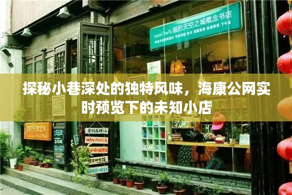 探秘小巷深處的獨特風味，海康公網實時預覽下的未知小店揭秘