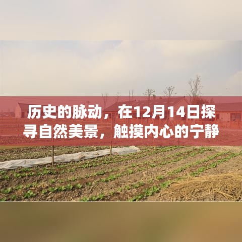12月14日探尋自然美景之旅，歷史的脈動(dòng)與內(nèi)心寧靜的觸摸