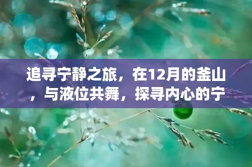 12月釜山之旅，探尋液位間的寧靜港灣，內心寧靜之旅