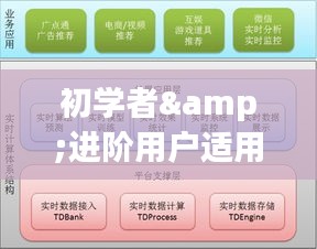 往年12月14日實時位置APP使用指南，初學者與進階用戶詳細步驟操作手冊