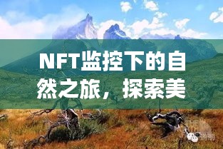 NFT監控下的自然探索之旅，追尋美景與內心寧靜