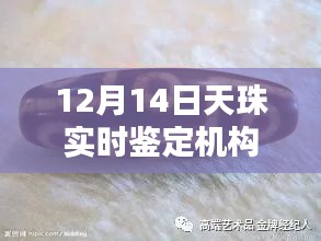 12月14日，天珠實時鑒定機構查詢攻略——適合初學者與進階用戶