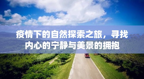 疫情下的自然探索之旅，心靈寧靜與美景的交融