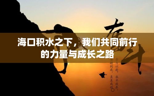 海口積水之下的前行力量與成長之路