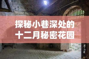 十二月秘密花園，小巷深處的隱藏式特色小店探秘