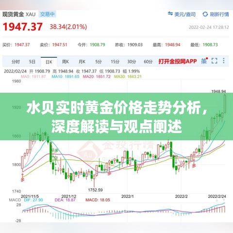 水貝實時黃金價格走勢深度解析與觀點闡述