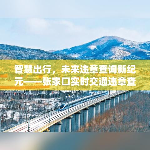 智慧出行時代，張家口實(shí)時交通違章查詢系統(tǒng)重磅升級引領(lǐng)新紀(jì)元