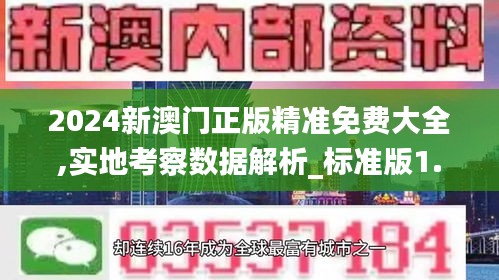 2024新澳門正版精準免費大全,實地考察數據解析_標準版1.976