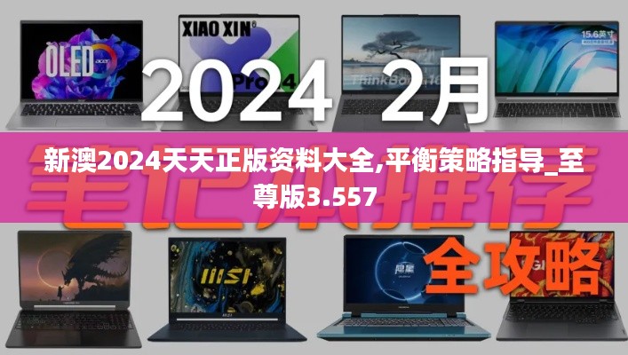 新澳2024天天正版資料大全,平衡策略指導_至尊版3.557
