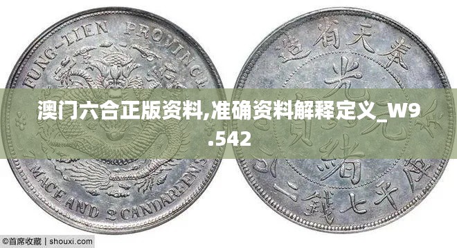 澳門六合正版資料,準確資料解釋定義_W9.542