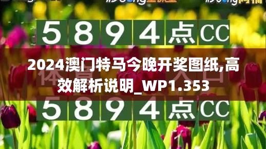 2024澳門特馬今晚開獎(jiǎng)圖紙,高效解析說明_WP1.353