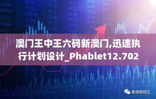 澳門王中王六碼新澳門,迅速執行計劃設計_Phablet12.702