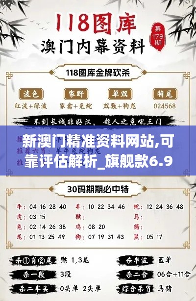 新澳門精準資料網站,可靠評估解析_旗艦款6.917