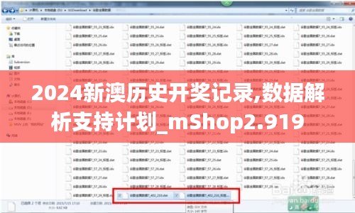 2024新澳歷史開獎記錄,數據解析支持計劃_mShop2.919
