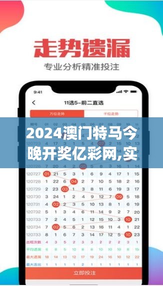 2024澳門特馬今晚開獎億彩網,實際數據說明_旗艦款4.803