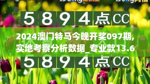 2024澳門特馬今晚開獎097期,實地考察分析數據_專業款13.682