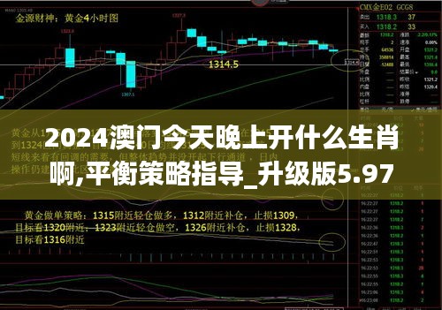 2024澳門今天晚上開什么生肖啊,平衡策略指導_升級版5.978