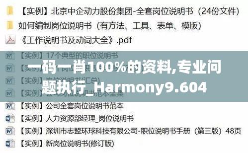 一碼一肖100%的資料,專業問題執行_Harmony9.604