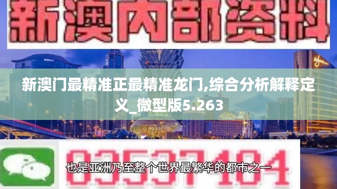 新澳門最精準正最精準龍門,綜合分析解釋定義_微型版5.263