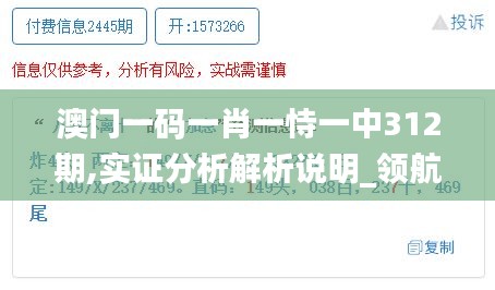 澳門一碼一肖一恃一中312期,實證分析解析說明_領(lǐng)航款5.773