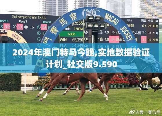 2024年澳門特馬今晚,實(shí)地?cái)?shù)據(jù)驗(yàn)證計(jì)劃_社交版9.590