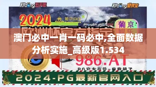 澳門必中一肖一碼必中,全面數據分析實施_高級版1.534