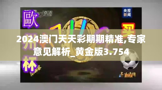 2024澳門天天彩期期精準,專家意見解析_黃金版3.754