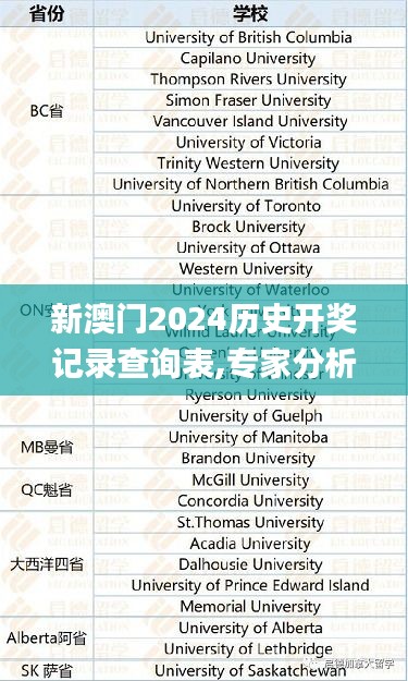 新澳門2024歷史開獎記錄查詢表,專家分析解釋定義_免費版19.604