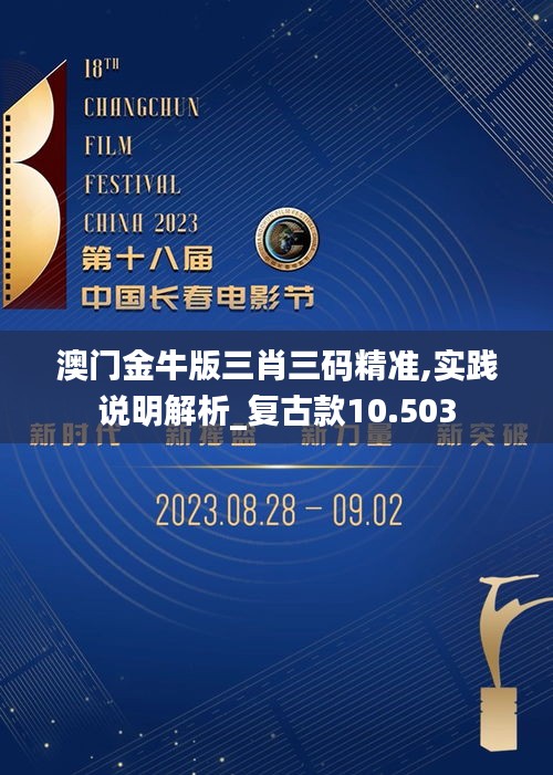 澳門金牛版三肖三碼精準,實踐說明解析_復古款10.503