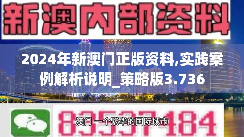 2024年新澳門正版資料,實踐案例解析說明_策略版3.736