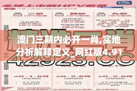 澳門三期內(nèi)必開一肖,實(shí)地分析解釋定義_網(wǎng)紅版4.912