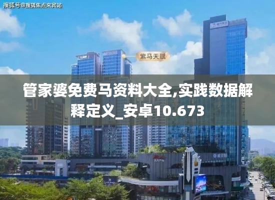管家婆免費馬資料大全,實踐數據解釋定義_安卓10.673