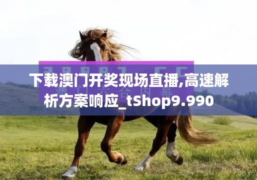 下載澳門開獎現場直播,高速解析方案響應_tShop9.990
