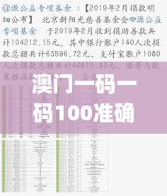 澳門一碼一碼100準確,現狀分析解釋定義_bundle10.436
