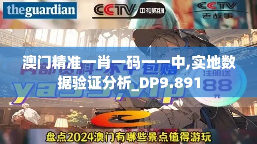 澳門精準一肖一碼一一中,實地數據驗證分析_DP9.891